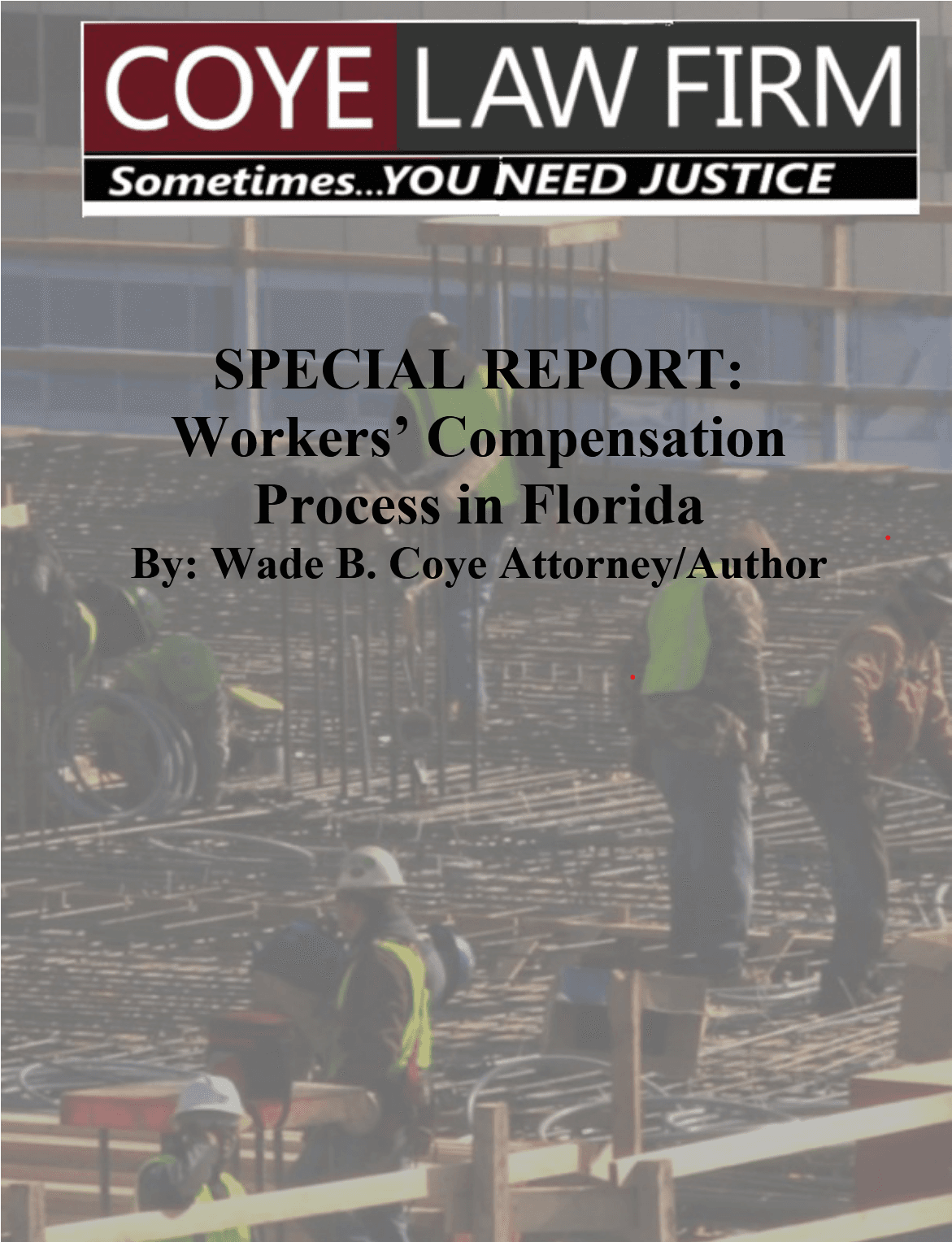 Cover of Workers Compensation Report: What Insurance Companies Don't Want You to Know legal guide